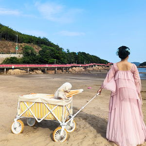 Carro de playa plegable grande Premium con patrón personalizado, carro de mano con ruedas grandes para ARENA, desierto, playa, camping - Product Image 5