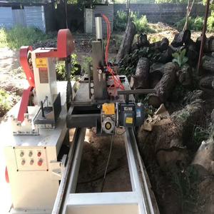 Sierra Circular Vertical Ajustable para Trabajar la Madera con Alimentación Automática, Diámetro de Hoja de 650 mm, Potencia de 18.5 kW - Product Image 6