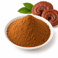 Poudre de Ganoderma Lucidum en gros, qualité alimentaire, ingrédient de poudre de champignon Reishi