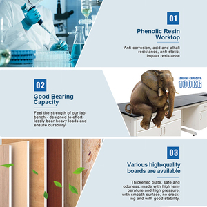 Cartmay Bền Phòng Thí Nghiệm Sử Dụng Thép Gỗ Băng Ghế Dự Bị Nhựa Phenolic Bàn Làm Việc Phòng Thí Nghiệm Bàn Làm Việc Lưu Trữ Trường Học Bệnh Viện - Product Image 4