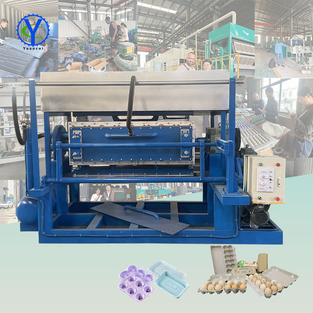 Automatic High Capacity Pulp Molding Machine with PLC & Gearbox for Egg Carton and Tray Production