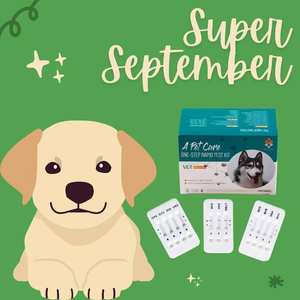 <span class=keywords><strong>Embarazo</strong></span> de un paso para perro, relaxina canina, prueba rápida, Clínica de Hospital, equipo de diagnóstico veterinario, Kit de prueba de Parvovirus - Product Image 3