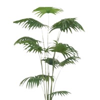 Plantes vertes artificielles : Palmier Areca, Palmier Coco, Palmier pour l'aménagement paysager, la décoration de la maison et des hôtels
