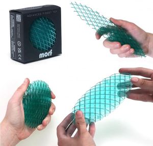 Morf Fidget <b>Worm</b> Toy Plastic Flexible 3D Sensory Slug Fig Toy for Kids Teens Adults Stretchy Quiet Stress Relief Focus Play - Product Image 1