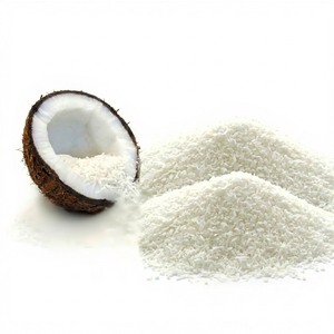 Coco Deshidratado Premium para Galletas, Bizcochos e Ingredientes de Panadería - Product Image 1
