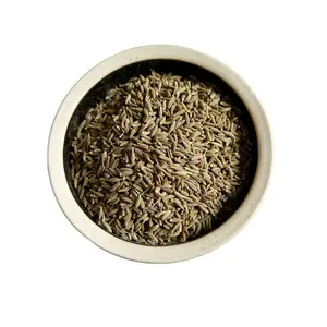 Nord 100% Pure Quality Wholesale Price Raw Wholesale Best product Seed China Seed Whole Cumin