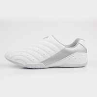 Usine 2021 dernières chaussures de Taekwondo de pin chaussures de Taekwondo de guerrier à bas prix avec doublure en coton pour le printemps et l'automne