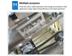 Trieuse automatique de fruits et légumes Trieuse de citron de machine de classement de cerise de carotte sur la vente - Product Image 5