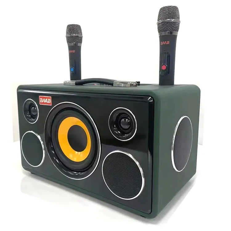 Grande potenza professionale 6 pollici Stereo basso Karaoke altoparlante con microfono Vintage in legno cassa per feste Home Theatre Audio sistema Audio