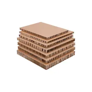 Panneau de nid d'abeille de carton de papier réutilisé de haute résistance de HENGNICE pour emballer le double panneau latéral de hHoneycomb