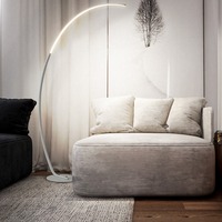 Noir Métal Arc Debout Lumière Canapé Coin Simple Moderne Oem Led Salon Pêche Lampadaires