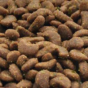 OEM Wholesale High Protein Dry <strong>Food</strong> for Cats and <strong>Dogs</strong> Small <strong>Grain</strong>-<strong>Free</strong> Pet Treats - Product Image 5