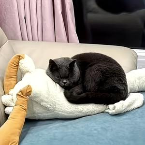 All'ingrosso compagno morbido in poliestere Pet Toys grande cuscino d'oca e cuscino per dormire peluche per cani e gatti - Product Image 3