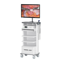 Système de caméra endoscopique Full HD IKEDA pour l'imagerie médicale pour ENT/laparoscopie/hystéroscopie/urologie/arthroscopie