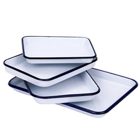 Vente en gros petite grande assiette rectangulaire blanche en métal plateau de vaisselle de laboratoire en émail avec logo personnalisé