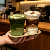 Vaso de Plástico PET Transparente Desechable de 16oz (98mm) con Tapa para Café Frío y Bebidas, Personalizable con Logotipo, Venta al Por Mayor para Cafeterías