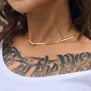 14K altın kaplama 316L paslanmaz çelik kadın düz yılan zincir Chokers kolye