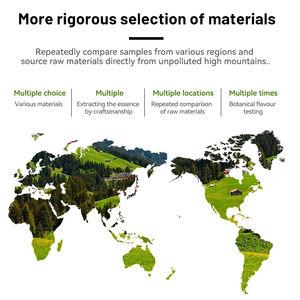 Diffuseur de parfum haut de gamme pour voiture, nouvelle conception, modèle d'avion, solaire, pour éliminer les odeurs intérieures de la voiture. - Product Image 5