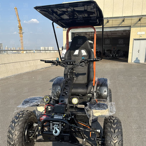 Scooter Eléctrico Todoterreno de 4 Ruedas con Batería Extraíble, Motor sin Escobillas de 6000W, Suspensión Completa para Adultos, Uso en Exteriores de Alta Resistencia - Product Image 2