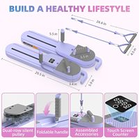 Planche d'entraînement multifonctionnelle RS New Home pour Pilates et ski, planche abdominale séparée en plastique PP, violet/bleu foncé, unisexe, pour exercices corporels