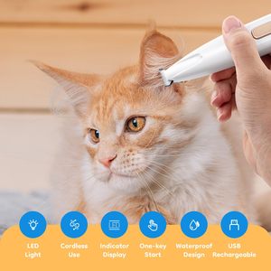 Tondeuse pour animaux de compagnie étanche avec lumière LED pour la tonte des pattes, des oreilles, du visage, du derrière et des sourcils, rechargeable par USB pour chien - Product Image 4