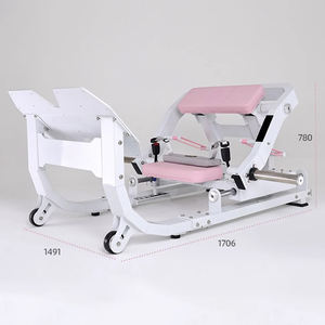 Machine de musculation professionnelle en acier pour fessiers, presse à fessiers réglable, entraîneur de hanches – Durable pour l'entraînement des fessiers et des fesses galbées - Product Image 1