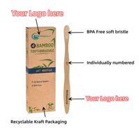 Brosse à dents écologique naturelle à poils moyens, emballée individuellement, en bois, pour voyage, adulte, famille, soins bucco-dentaires personnels