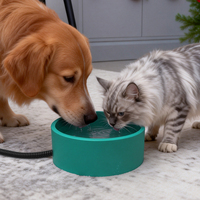 Bol à eau chauffant pour chat, bol à eau électrique pour animaux de compagnie pour une utilisation en extérieur en hiver, abreuvoir anti-gel pour chats et chiens