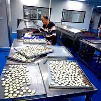 Machine à enrober au chocolat, ligne de production plus froide, enrobeuse de chocolat pour barres chocolatées et en-cas