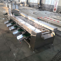 Automatische gemotoriseerde fruit- en groentewas-, schil- en sorteermachine, voedselveilige roestvrij staal, 1-3 ton/uur, 3-8
