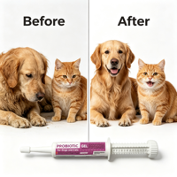Gel Crème Probiotique Soin Santé Animaux 30ml en Seringue pour Chiens & Chats - Supplément Huile de Poisson pour la Digestion & la Santé Intestinale