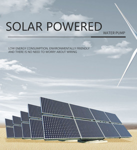 <span class=keywords><strong>Pompe</strong></span> à eau submersible <span class=keywords><strong>solaire</strong></span> pour puits profonds OEM ODM 4 pouces 750W 1HP Débit maximal <span class=keywords><strong>10m3</strong></span>/<span class=keywords><strong>h</strong></span> Hauteur de refoulement maximale 38m pour l'agriculture - Product Image 4