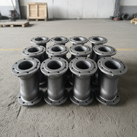 Corps de vanne en fonte de fer (Zinc/Aluminium/Cuivre/Acier) avec revêtement en poudre, épaisseur personnalisée, OEM/ODM acceptés, Dandong Pengxin
