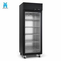 Réfrigérateur de maturation de bœuf BSG630 500L, vitrine de présentation à porte unique pour boucherie et cuisine de restaurant