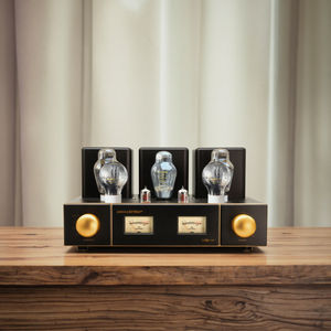 Amplificador de Potencia MONA Life's Toxic Chicken Soup 2.0 Canales, Calidad de Sonido Metálica de Grado Audiófilo 300B, Esencial para Aliviar el Estrés - Product Image 2