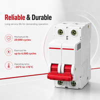 Disjoncteur haute intensité CDB6i-125 MCB 1P 1P+N 2P 3P 3P+N 4P 63A 80A AC230V 400V DC125V 250V 10kA Courbes B C D Rail DIN