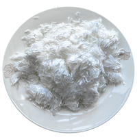 La fibre plastique de béton de mortier anti-fissuration de fibre de polyester résistant à la chaleur améliore efficacement la résistance du ciment