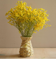 Fleurs séchées préservées en gros à prix abordable pour décoration de mariage, couleur personnalisée, décoration murale/maison, meilleure herbe de la pampa naturelle séchée de Chine