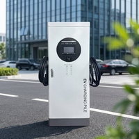 Estación de Carga Rápida DC Inteligente de 120 kW para Vehículos Eléctricos, de Grado Profesional, con Software de Red, para Negocios, Fabricada por un Fabricante Líder, Duradera y de Alta Resistencia