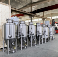Cuve de micro-fermentation personnalisable 100L 200L 300L, cuve sous pression en acier inoxydable 304 de qualité alimentaire pour bière, haute qualité, transportable