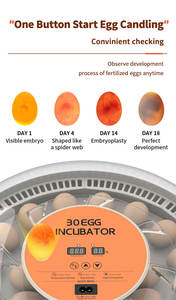 WONEGG Inkubator dan Mesin Penetas Telur Otomatis Murah Baru untuk Ayam 30 Telur - Product Image 6