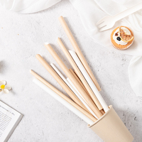 Pailles de luxe en bois biodégradables, rayées pastel, compostables, pour cocktails, écologiques, certifiées LFGB, personnalisables