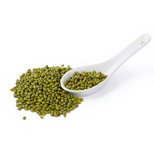 Fresh Indian Green Moong <b>Beans</b> Premium Quality Natural Whole Pulses FitTree International Brand Gujarat Origin 24 Months Shelf - Product Image 1