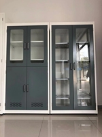 Gabinete de Almacenamiento de Ácidos y Medicamentos de Acero Inoxidable Personalizado para Laboratorios de Control de Detección de Enfermedades (CDC) e Inspección Médica, Laboratorios de Nuevos Materiales