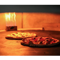 Four à pizza au feu de bois Restaurant Brique isolée Four à pizza intérieur ou extérieur Fours à pizza au feu de bois à vendre