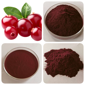 Heißer Verkauf Kostenlose Probe DMAC BL-DMAC Pac Lebensmittel qualität Cranberry-Extrakt-Pulver - Product Image 2