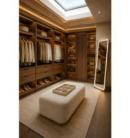 Conception personnalisée de dressing haut de gamme de couleur foncée, dressing moderne avec éclairage LED