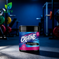 Poudre d'électrolytes et de créatine aux baies mélangées OEM – Complément alimentaire quotidien pour adultes, soutien à la récupération et à l'hydratation après l'entraînement en salle de sport