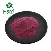 Natuurlijke Kwiek Gedroogd Elderberries Zwarte Vlier Elderberries Vruchtensap Poeder