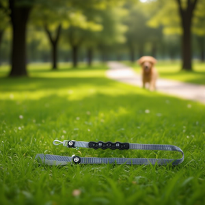 Yommy <b>Pet</b> <b>Leash</b> 120cm Cushioned Handle For Dogs - Product Image 3